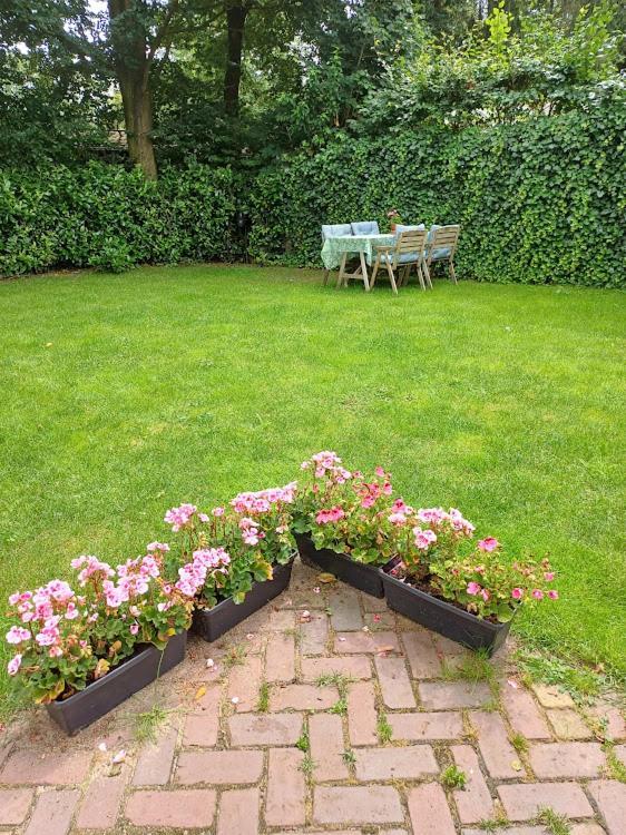 De Woudtplaats Villa Wolfheze Ngoại thất bức ảnh